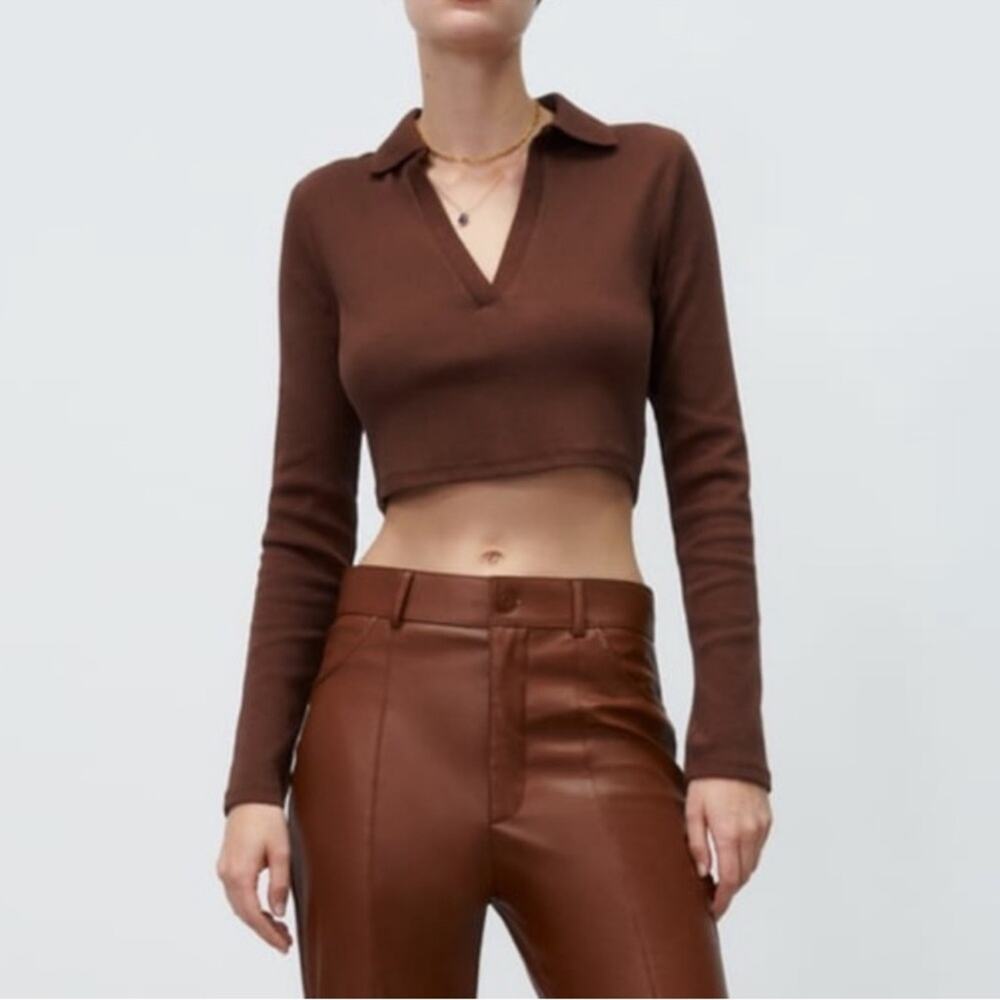 Zara Brown Long Sleeve V-Neck Crop Polo Top
